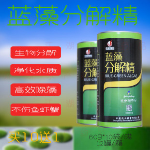 水产养殖蓝藻分解精水质改良蓝藻克星蓝藻速净速灭蓝藻克星分解素