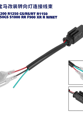 适用于宝马BMW F900XR/G310R /S1000R/XR R1250R 转向灯连接线束