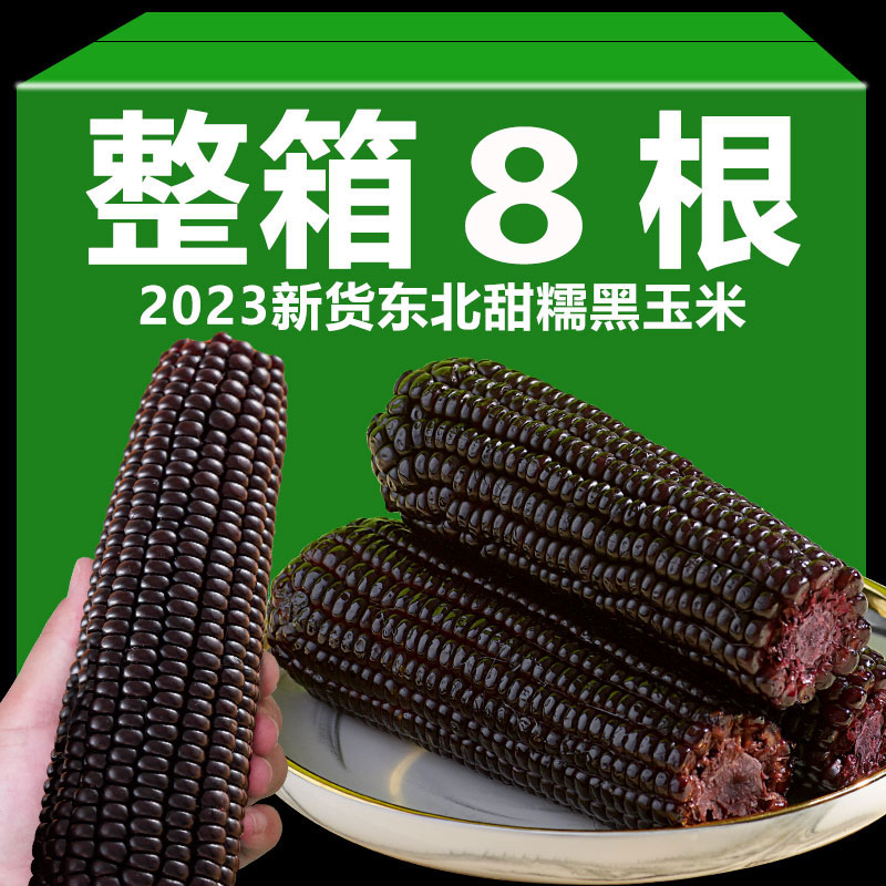 【整箱八根】新鲜黑玉米甜粘玉米含花青素忻州黑糯小玉米粗粮代餐