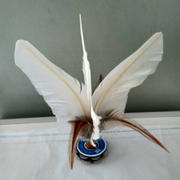 Protection sport - Ref 585757 Image 1