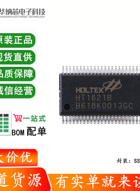 原装正品  HT1621B SSOP-48 RAM映射32*4 LCD控制器芯片I/O MCU