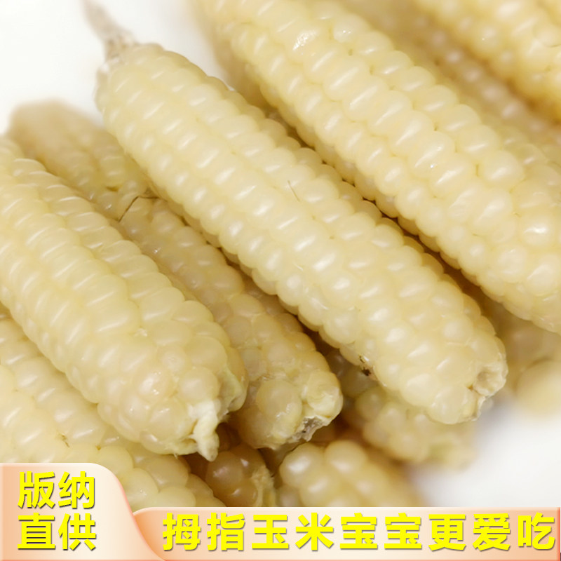 云南拇指玉米傣家香糯小玉米新鲜儿童宝宝早餐西双版纳手指玉米棒