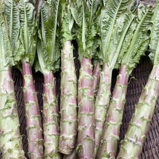 重庆农家新鲜土莴笋老品种红莴笋薄皮小莴笋鲜嫩应季蔬菜四川现砍