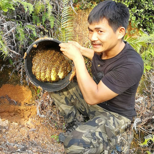 蜂蜡开孔桶放山上养蜂工具诱蜂桶