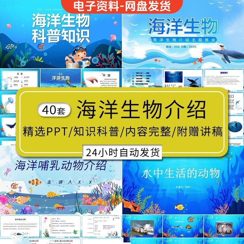 海洋动物介绍ppt模板K卡通儿童认识海洋生物种类知识科普班会课件
