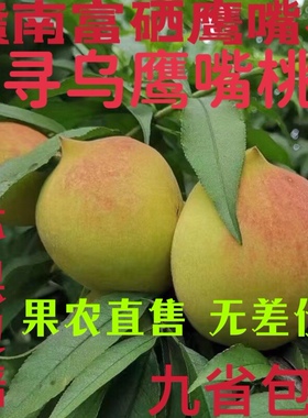 正宗赣南鹰嘴桃寻乌现摘现发新鲜水果甜脆自家果园当季水果