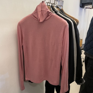 现韩国东大门代购egg2025秋季气质简约高领显瘦天丝羊毛打底衫T恤