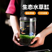 桌面水草缸生态瓶水培植物造景玻璃微景观办公室客厅小型鱼缸