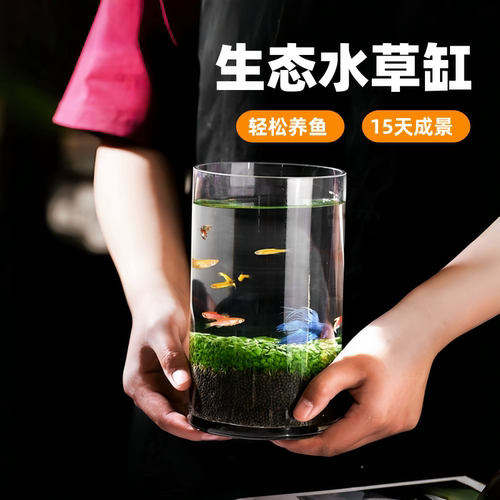 桌面微景观水培植物生态缸