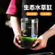 桌面水草缸生态瓶水培植物造景玻璃微景观办公室客厅小型鱼缸
