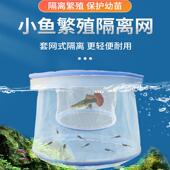 孔雀鱼繁殖孵化隔离盒隔离尼龙网漂浮小型鱼饲养繁殖
