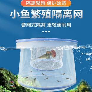 孔雀鱼繁殖孵化隔离盒隔离尼龙网漂浮小型鱼饲养繁殖