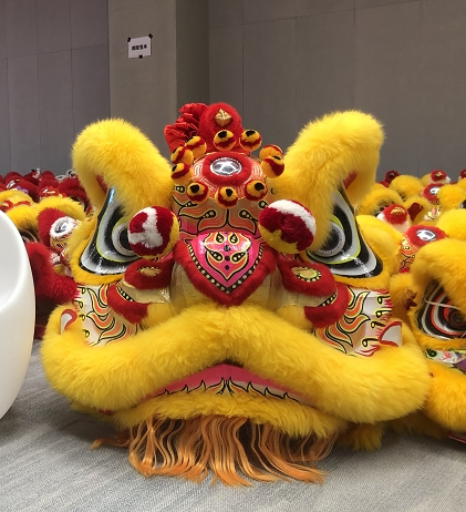 醒狮南狮道具舞龙舞狮定制狮头图片