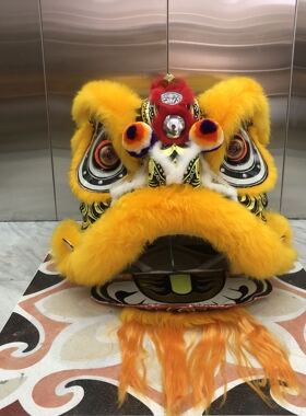 南狮行 老夫子狮头 三个镜子狮子 老夫子醒狮 广东南狮 舞龙舞狮