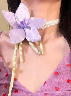 HEY TAO森系唯美紫色花朵蕾丝choker项链女纯欲气质颈链脖子配饰