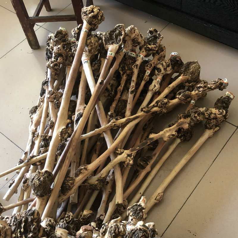 云南特产果树捶背天然原生态木雕
