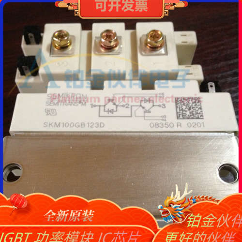 SKM100GB123D SKM100GB125D SKM100GB128D SKM100GB176D 欢迎咨询