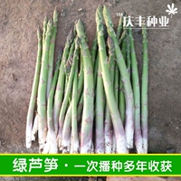 UC800 Asparagus 50 грамм/свободный