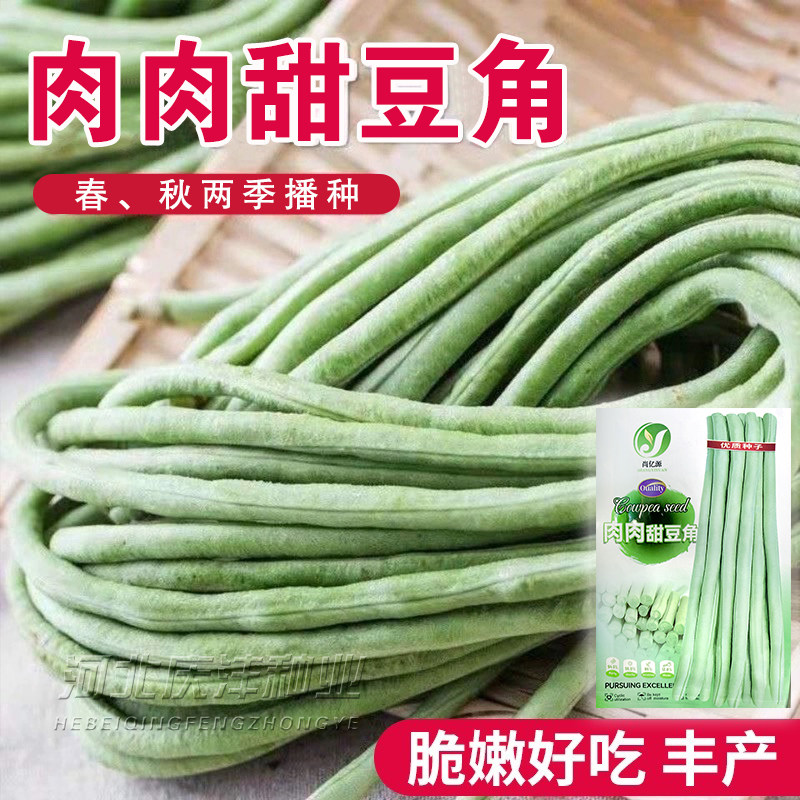 大肉甜豆角种子超好吃糯米白长豆角春夏秋播白玉长豇豆易种蔬菜孑,农用物资,蔬菜种子/种苗,淘宝优惠券,粉丝福利购,淘宝优惠卷