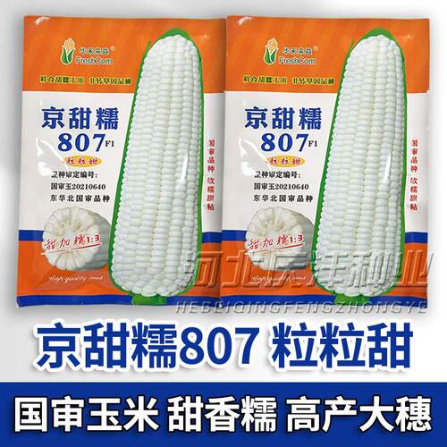 金糯1607甜糯白玉米种籽