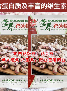 奶油饭豆红奶花饭豆种子