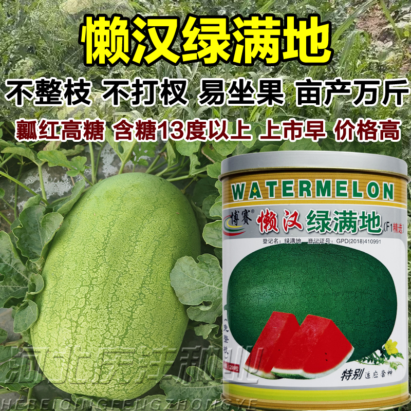 懒汉绿满地大红瓤高糖西瓜种子