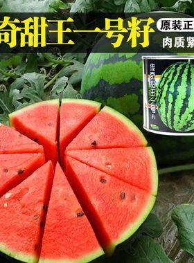 传奇甜王一号西瓜种子早熟高甜薄皮红瓤大西瓜水果种籽抗裂抗重茬