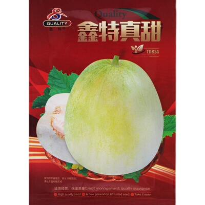 鑫特黄白高产抗病大田甜瓜种子
