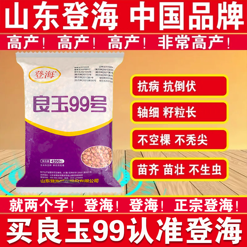 良玉99号玉米种子早熟