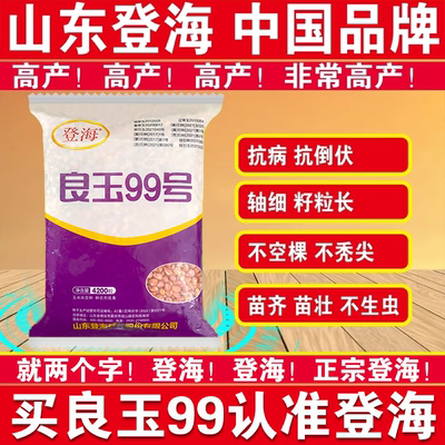 良玉99号玉米种子早熟