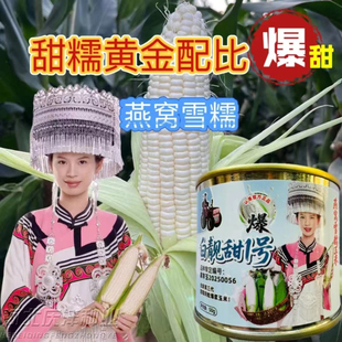 白靓甜1号糯玉米种子高产高品质甜糯玉米种春夏秋播燕窝雪糯玉米