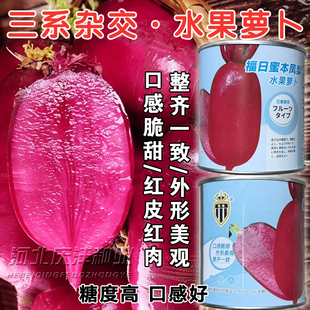 福日蜜本风梨水果萝卜种子红皮红肉甜脆正宗凤梨萝卜种子F1杂交种