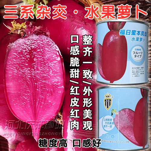 福日蜜本凤梨萝卜种子甜脆
