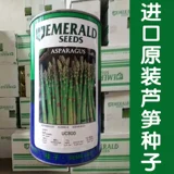 Семена бренда американского орла Семена многолетняя высокопоставленные Семена четыре сезона саженцев из спаржи. Фиолетовое лето, осень и зимнее блюдо