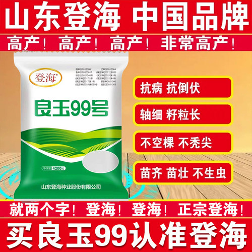 良玉99号玉米种子早熟