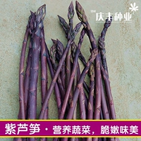 Импортная фиолетовая страсть 100 таблетки/Spun