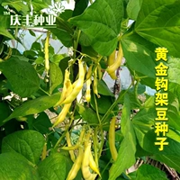 Ярко-желтый