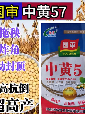中黄57黄豆种子 高产黄豆种籽大豆种子大粒抗病国产大豆种子基地