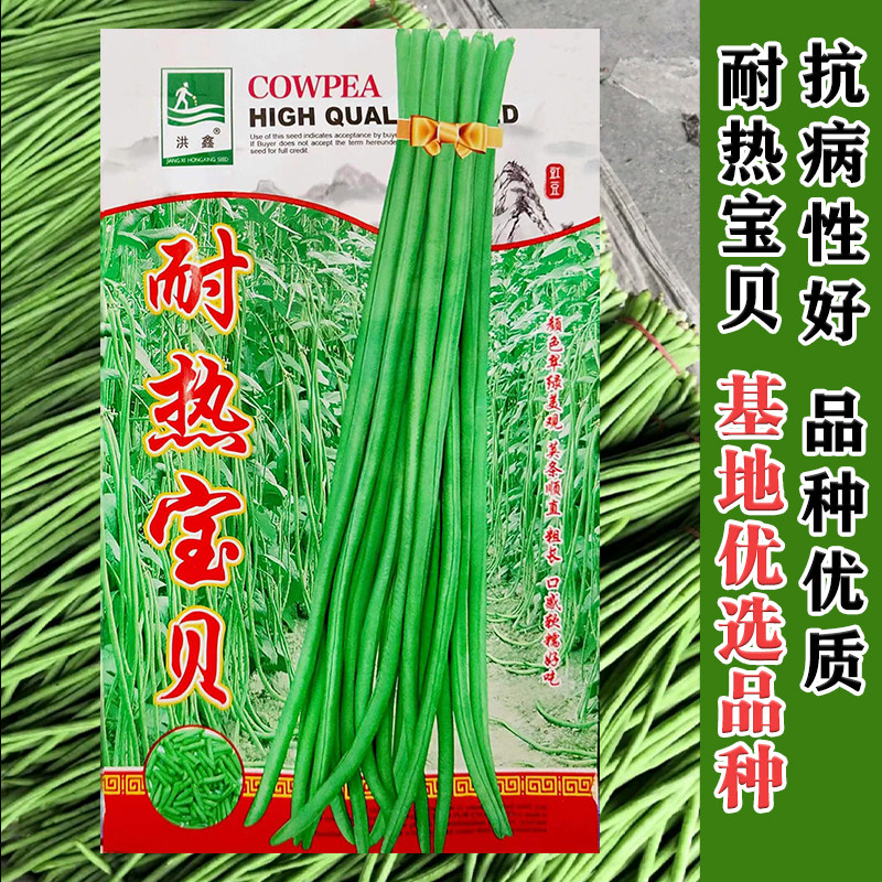 豇豆种子长豆角种籽江豆青绿白条架豆四川春夏秋季耐热田园蔬菜孑