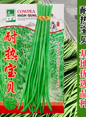 夏季耐热翠绿条豇豆种子豆角种子