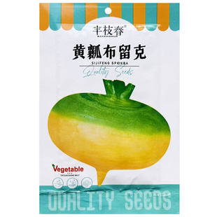 东北老品种 布留克种子 秋季种籽卜留克恰玛古圆蔓菁种子芜菁种孑