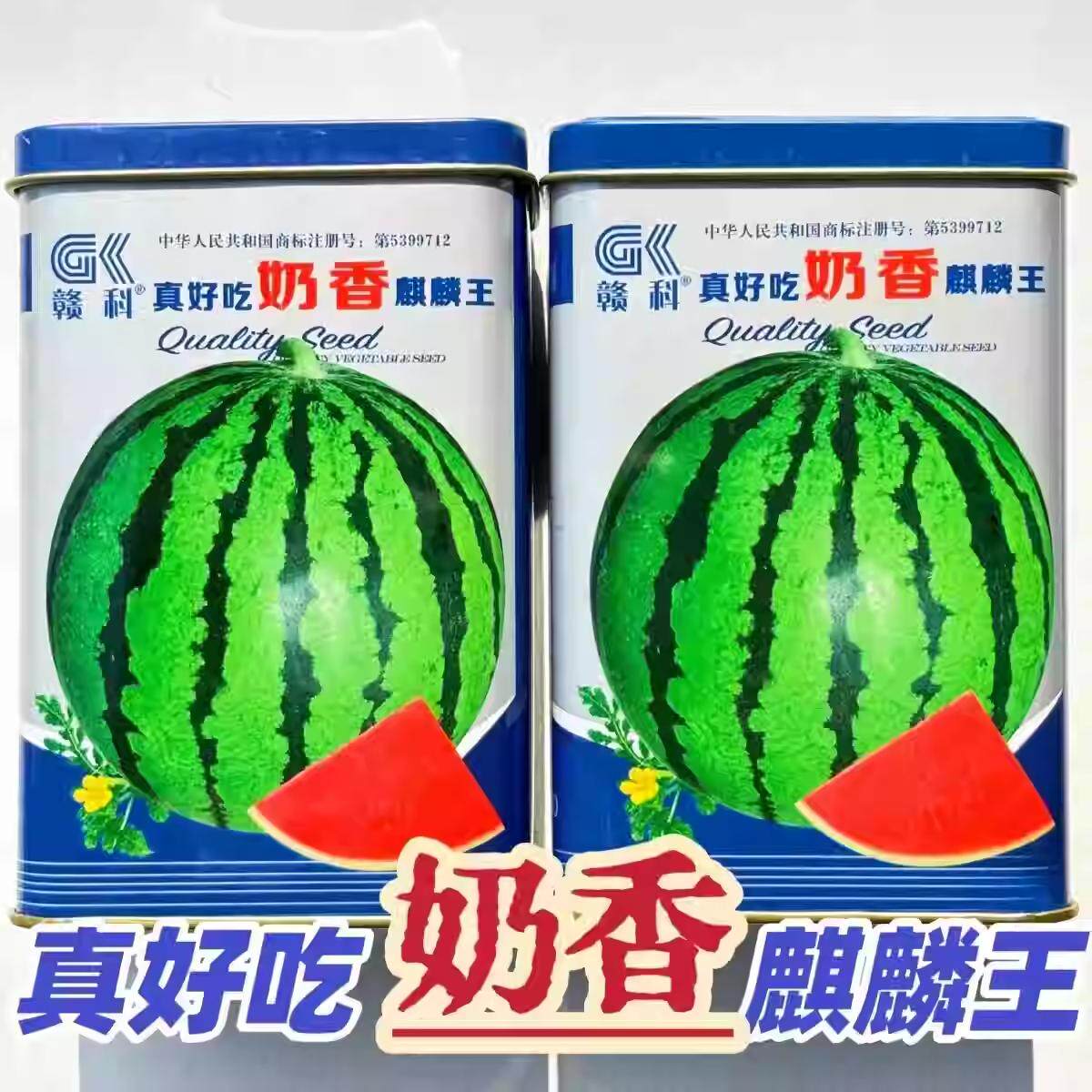 赣科奶香麒麟王西瓜种子夏季播种秋季开花蔬菜种子冰糖麒麟西瓜种