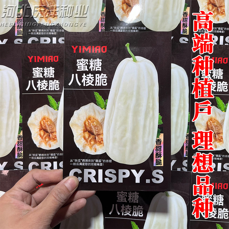 甜蜜八棱脆甜瓜种子夏季播种八棱脆瓜种子长菜瓜种子春季水果种子