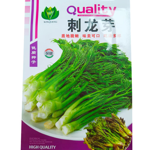 刺嫩芽种子南北方庭院盆栽绿植