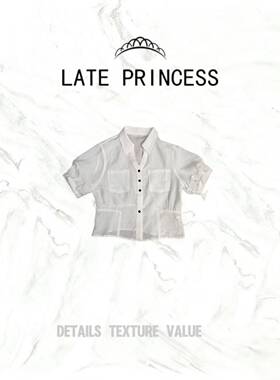 LATE PRINCESS【呢喃】夏季新款百搭修身短袖衬衣