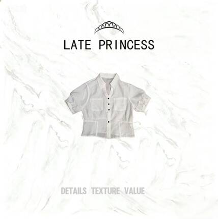 LATE PRINCESS【呢喃】夏季新款百搭修身短袖衬衣