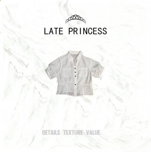 LATE PRINCESS【呢喃】夏季新款百搭修身短袖衬衣