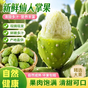 云南仙人掌果新鲜水果当季现摘现发白心泸定仙桃天然网红可吃食用