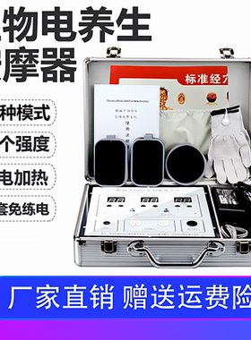 dds生物电按摩器多功能全身经络疏通电疗酸碱平衡养生仪理疗脉冲