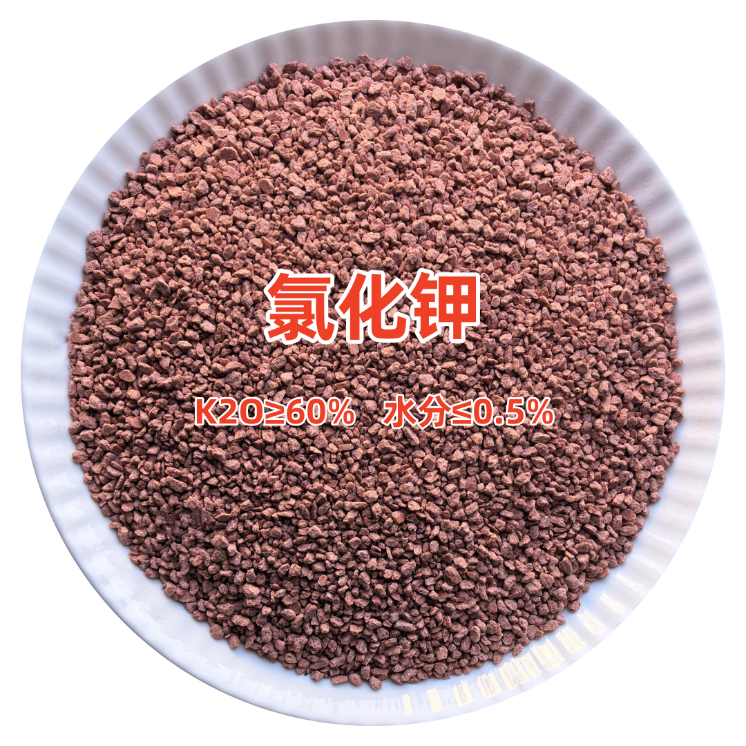 氯化钾肥料级红色颗粒60%高钾肥氧化钾农业用钾肥水溶肥原料正品